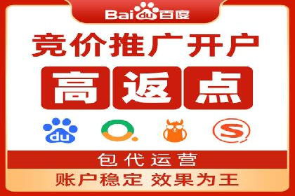 XX领域竞价广告的投放策略及效果展示