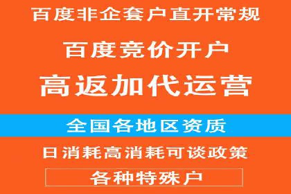 Sem优化公司案例：精准广告投放策略解析